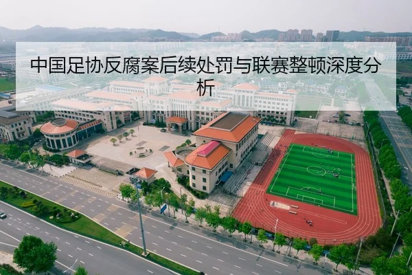 中国足协反腐案后续处罚与联赛整顿深度分析