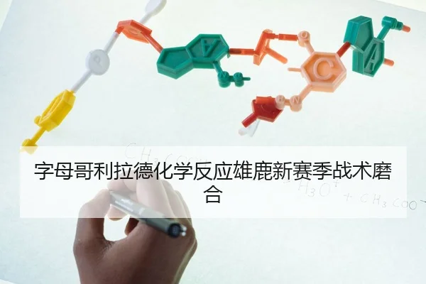 字母哥利拉德化学反应雄鹿新赛季战术磨合（hth）